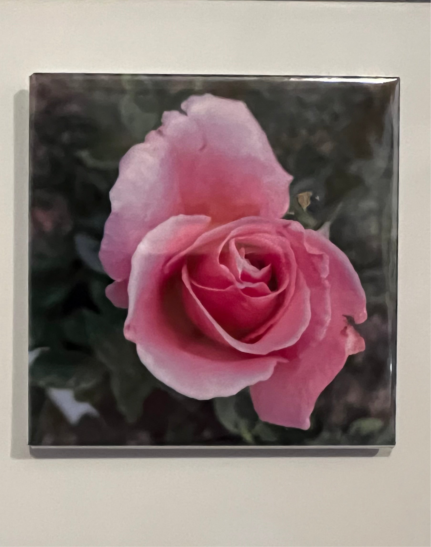 Photo Magnet 1 pk
