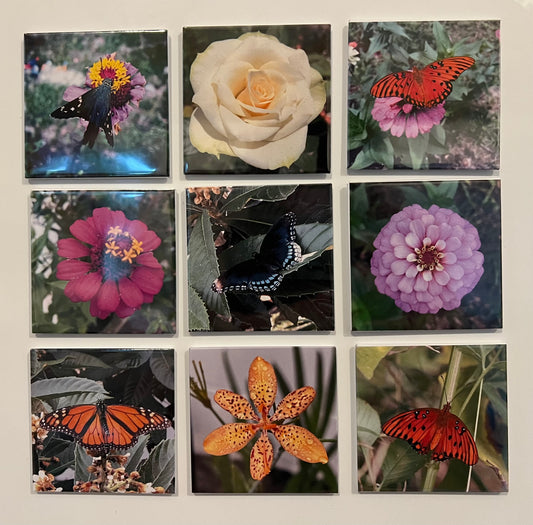 Photo Magnet 1 pk