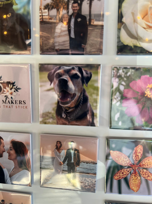 Photo Magnet 6 pk